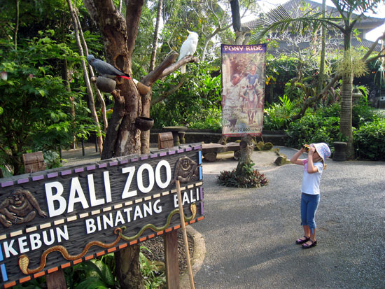 Tempat Wisata di Bali - Kebun Binatang Bali