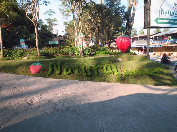 Tempat Wisata di Bandung - Natural Resto And Strawberry Land