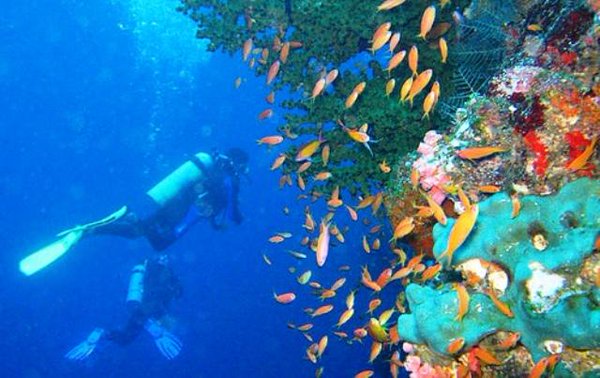 Tempat Wisata di Makassar - Taman Laut Taka Bonerate