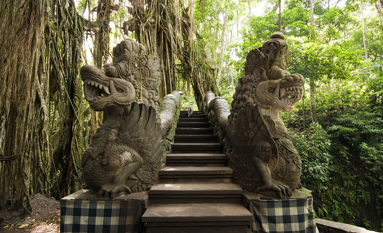 Tempat Wisata di Bali - Ubud Monkey Forest
