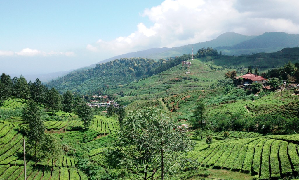Tempat Wisata di Bogor - Agro Gunung Mas