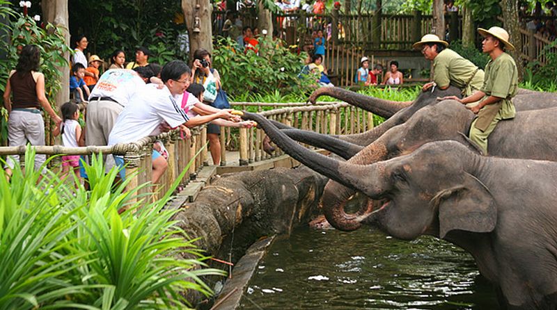 Tempat Wisata di Medan - Kebun Binatang Medan