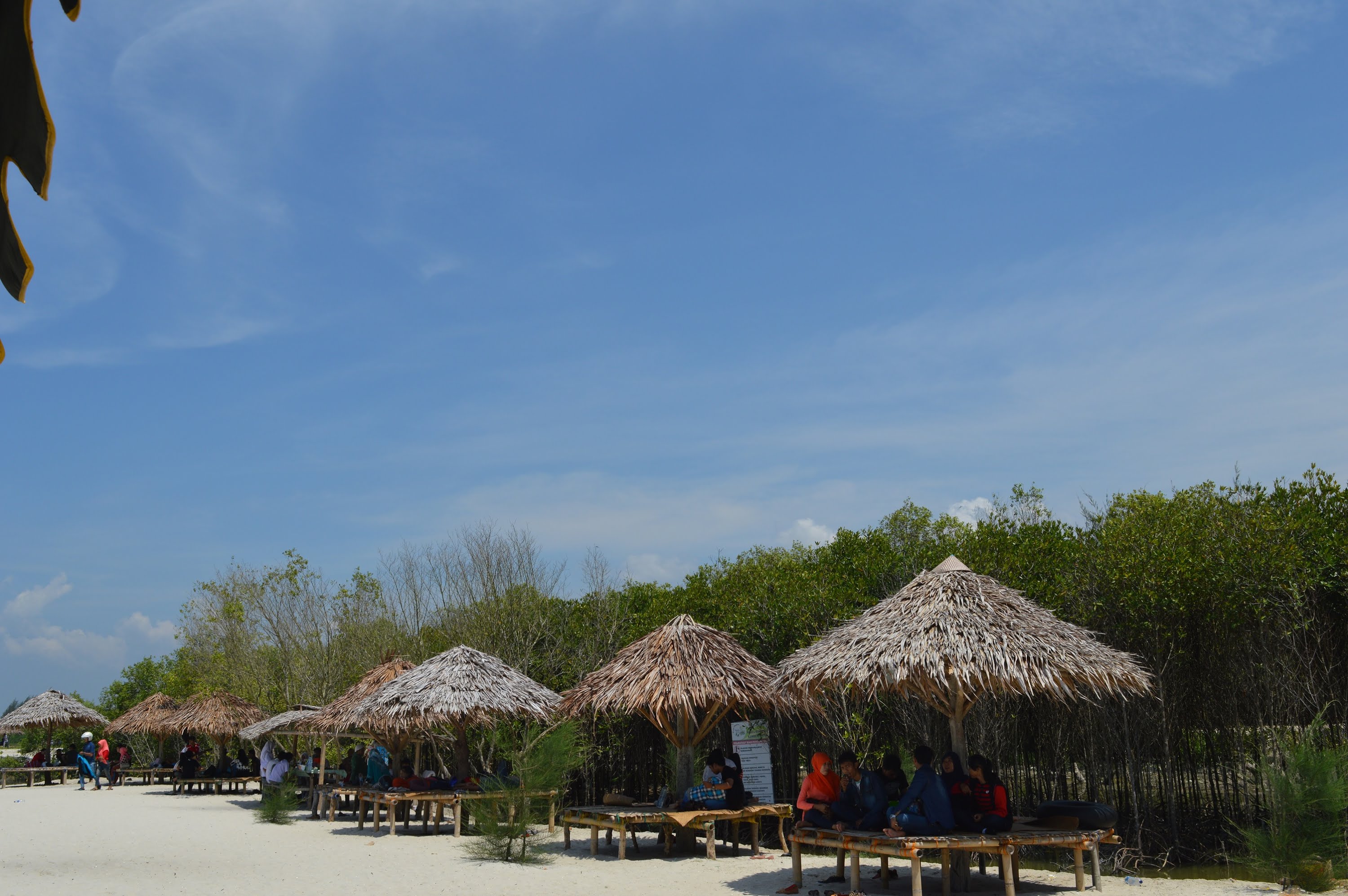 Tempat Wisata di Medan - Mangrove Kampung Nipah
