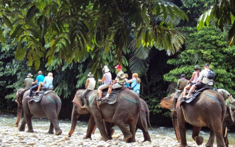 Tempat Wisata di Medan - Naik Gajah di Tangkahan