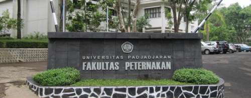 6 Universitas Dengan Jurusan Peternakan Terbaik 2020