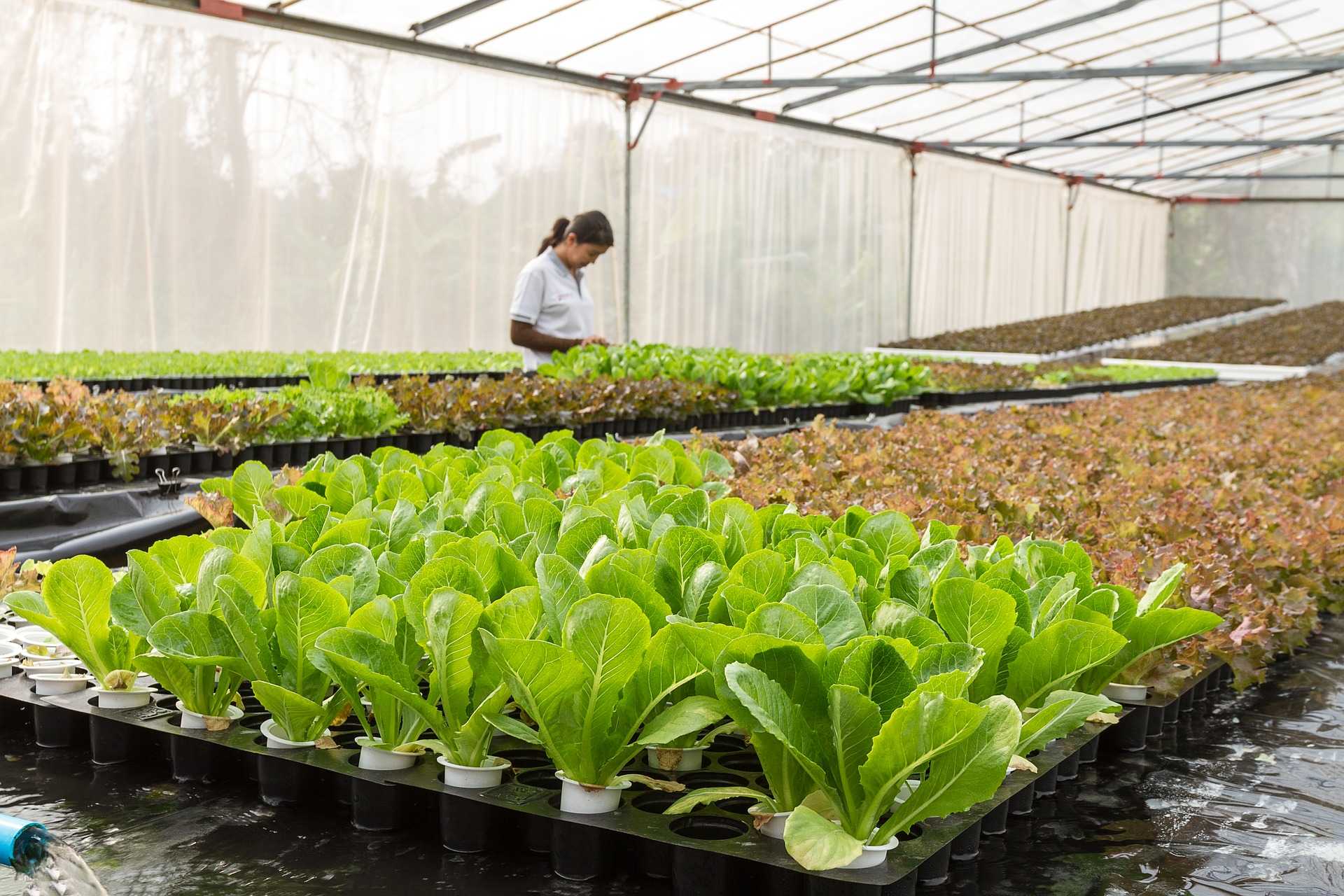 Daya Tampung Prodi Agroekoteknologi 
