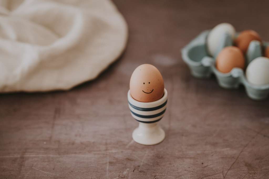 30 Aneka Olahan makanan sederhana dari telur, Cocok Untuk Anak Kost